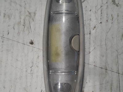 LUCE DI CORTESIA ANT. TETTO