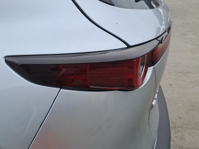 FANALE POST. PARTE EST.SX C/GRUPPO ILLUMINAZIONE