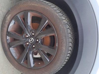 MODANATURA ARCO PASSARUOTA ANT.